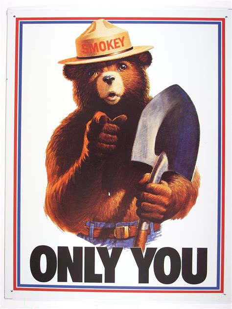 Only you can stop forest fires - Marie Lipscomb. Lost in the woods in the middle of a storm, Vanessa seeks refuge in a fire lookout’s tower, but finds much more than shelter. Simon is gruff, burly, and distractingly handsome—if the Smokey Bear aesthetic is your thing (and it totally is). Only You (Can Prevent Forest Fires) was originally published as part of the Only One ...